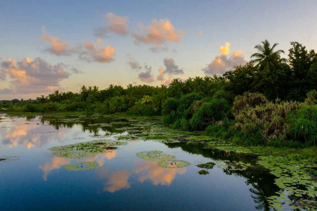panorama visto dopo il trasloco in costa rica